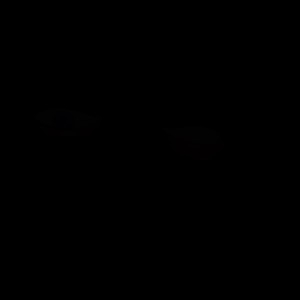 C'