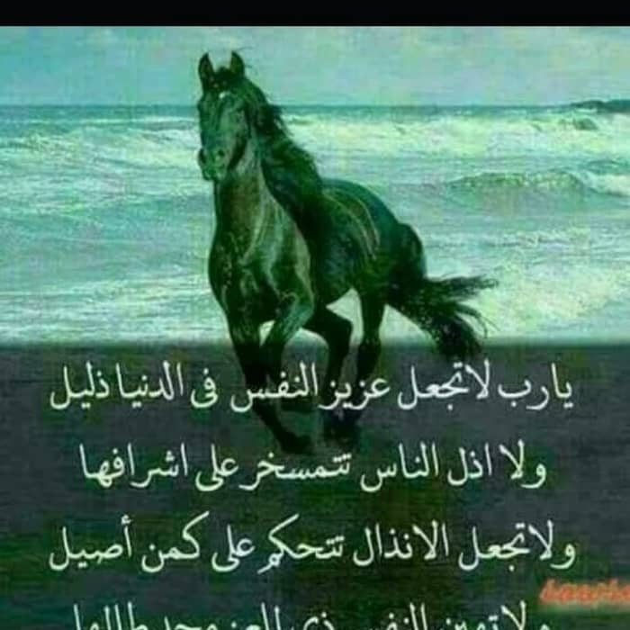 محسن