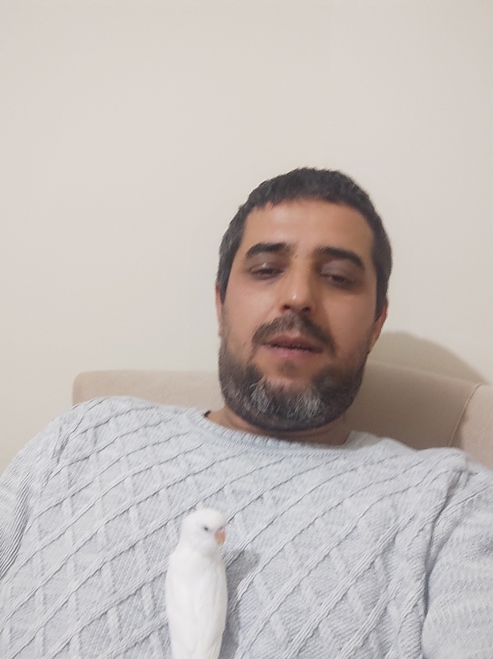 Celal