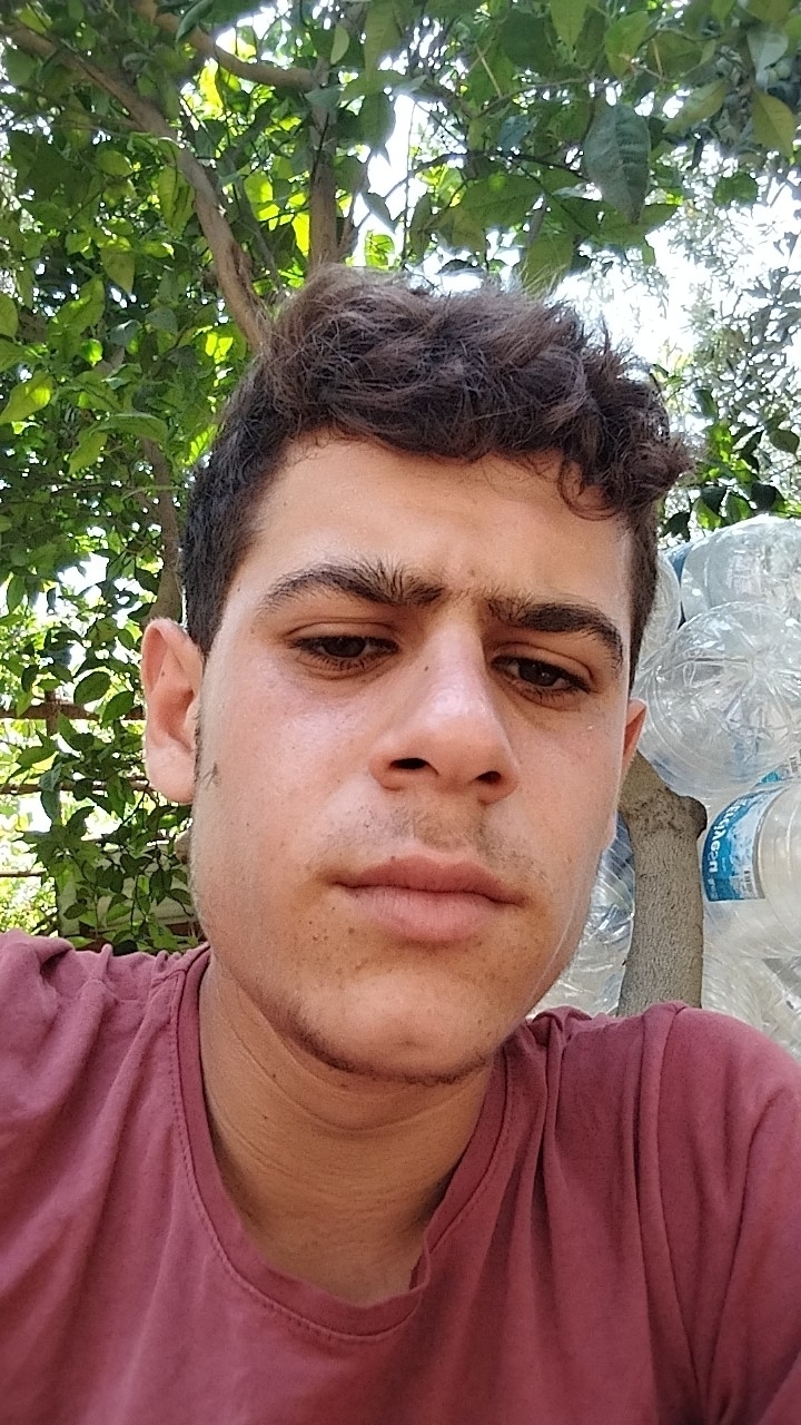 Süleyman