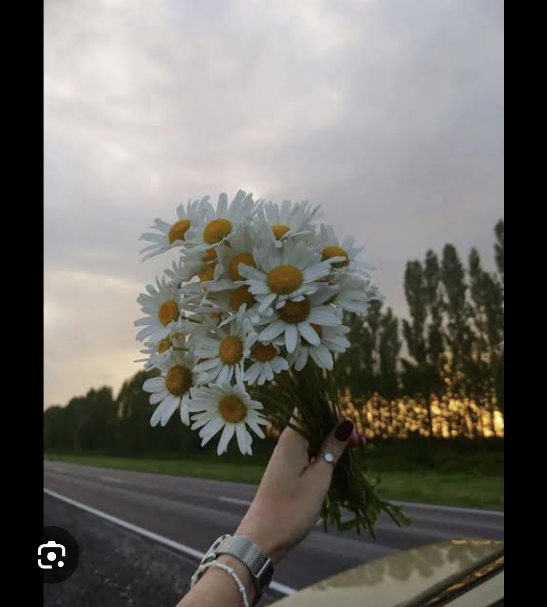 Arzu