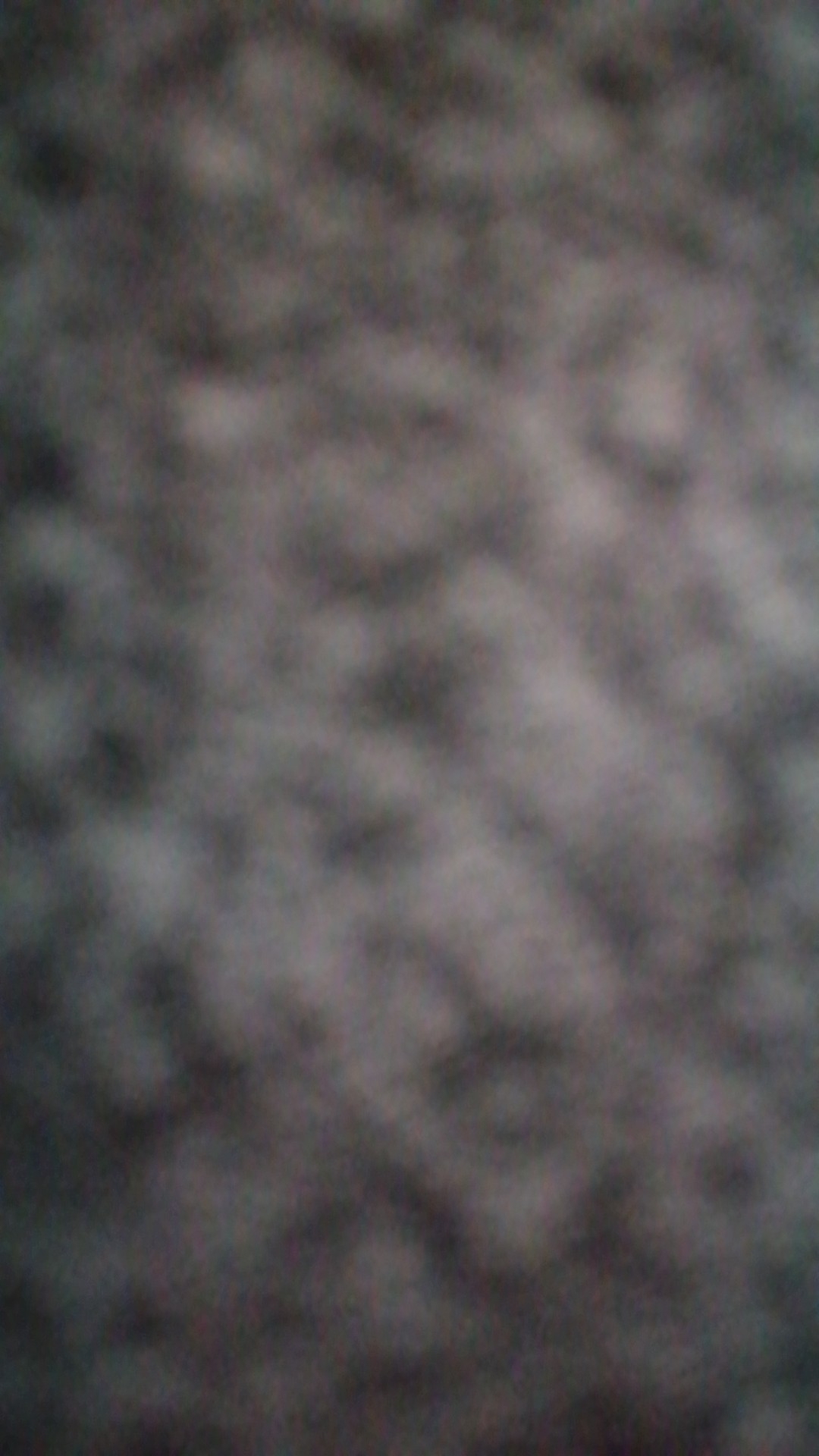 Cenk
