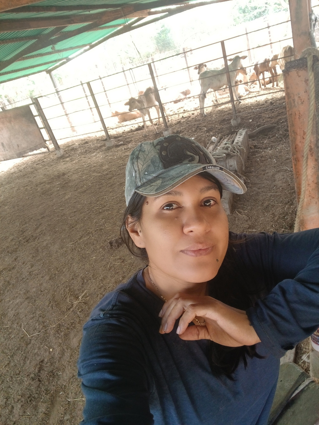 Dariana