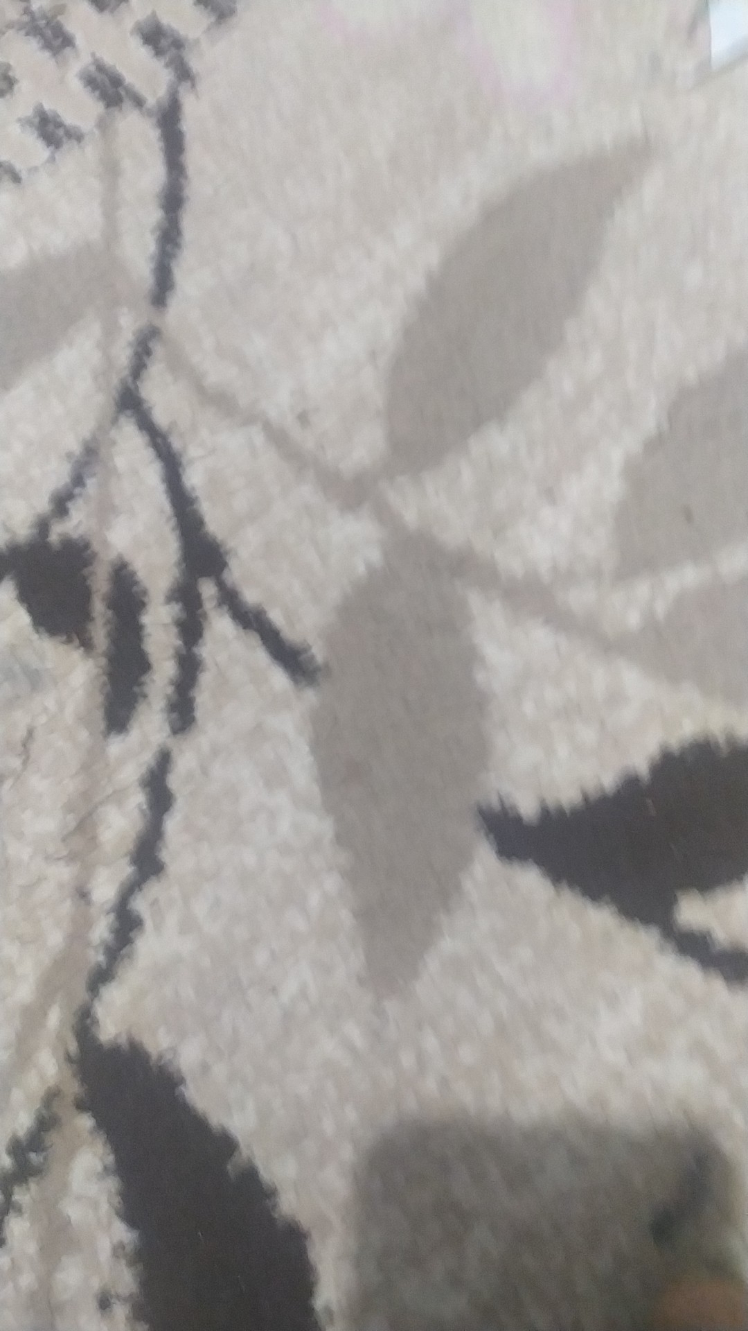 Apo