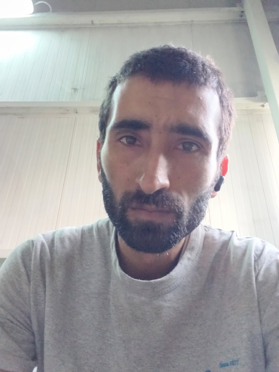 mehmet