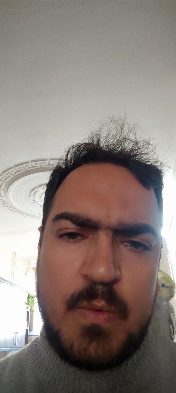 Amir