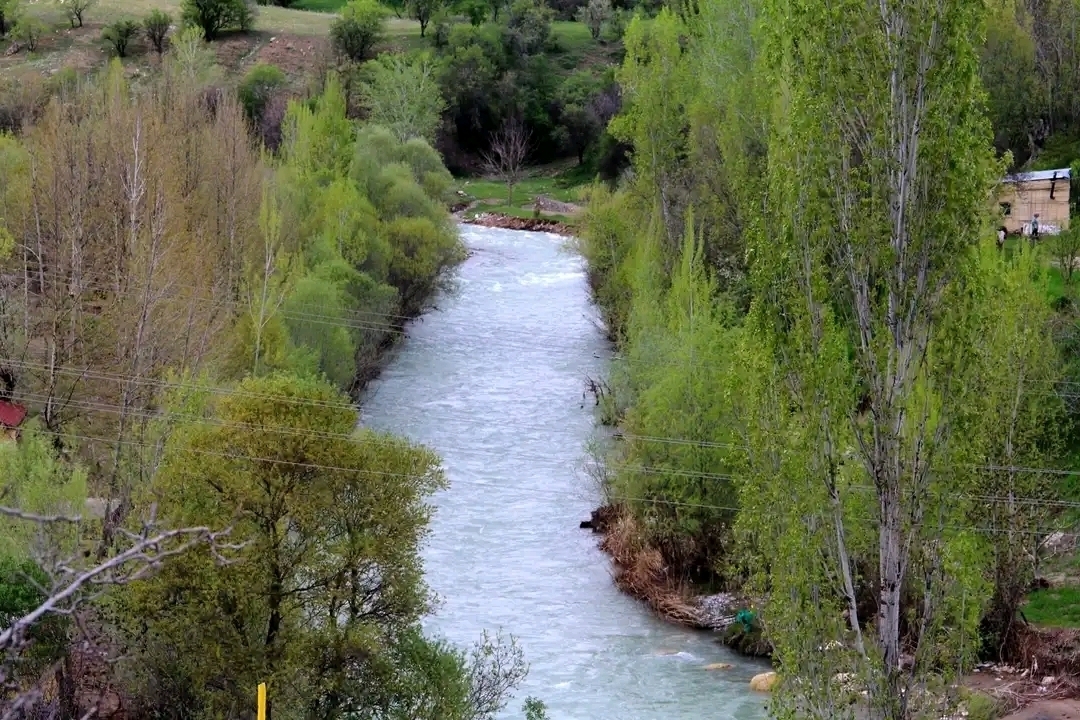 Yavuz