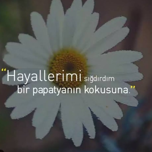 Ozlem