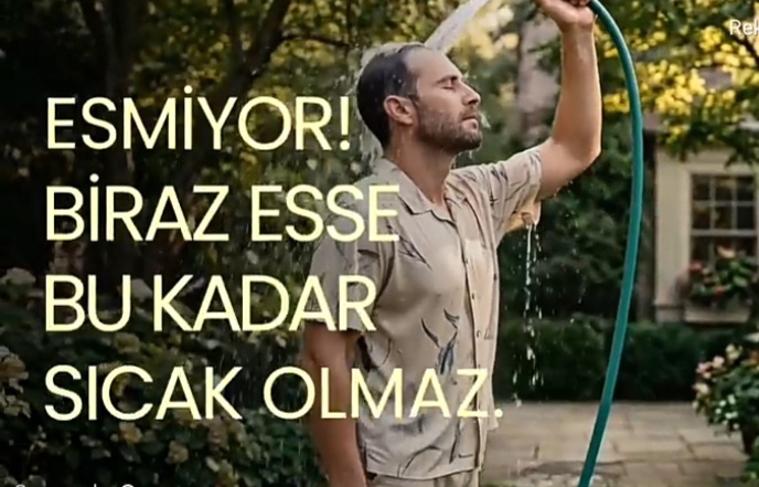 elvan