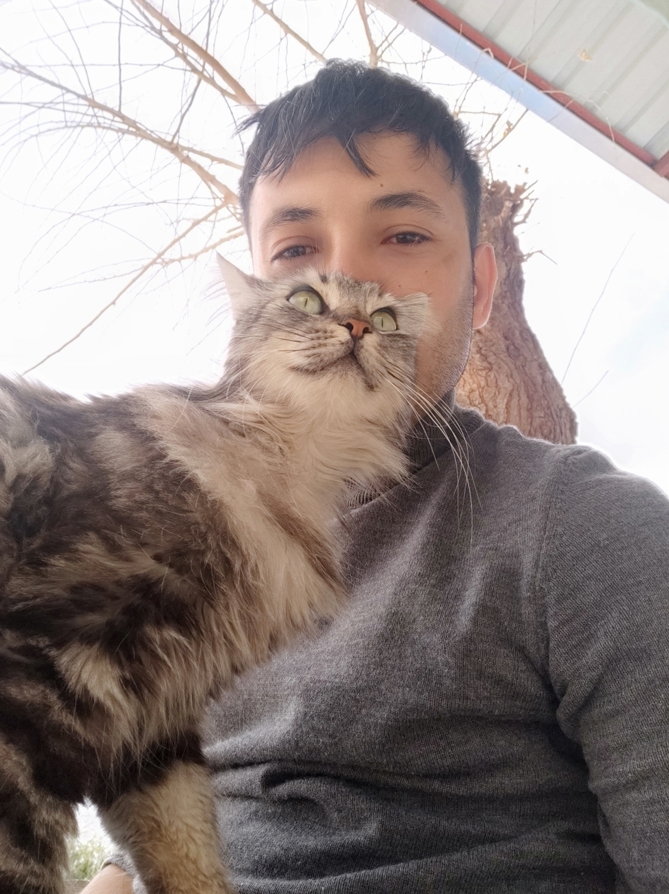 Nebi