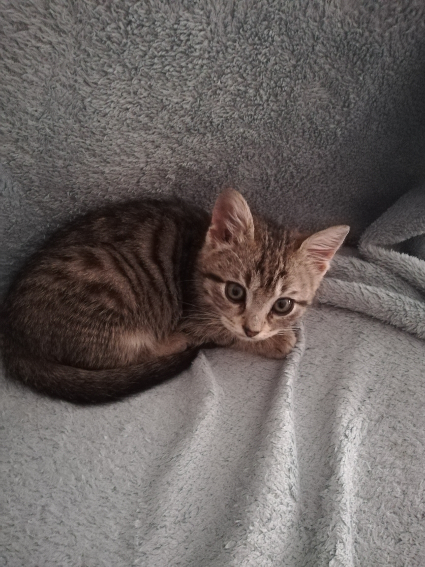 Zeynep