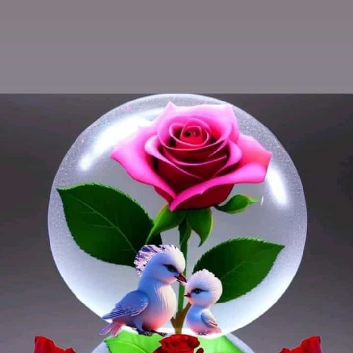 Songul