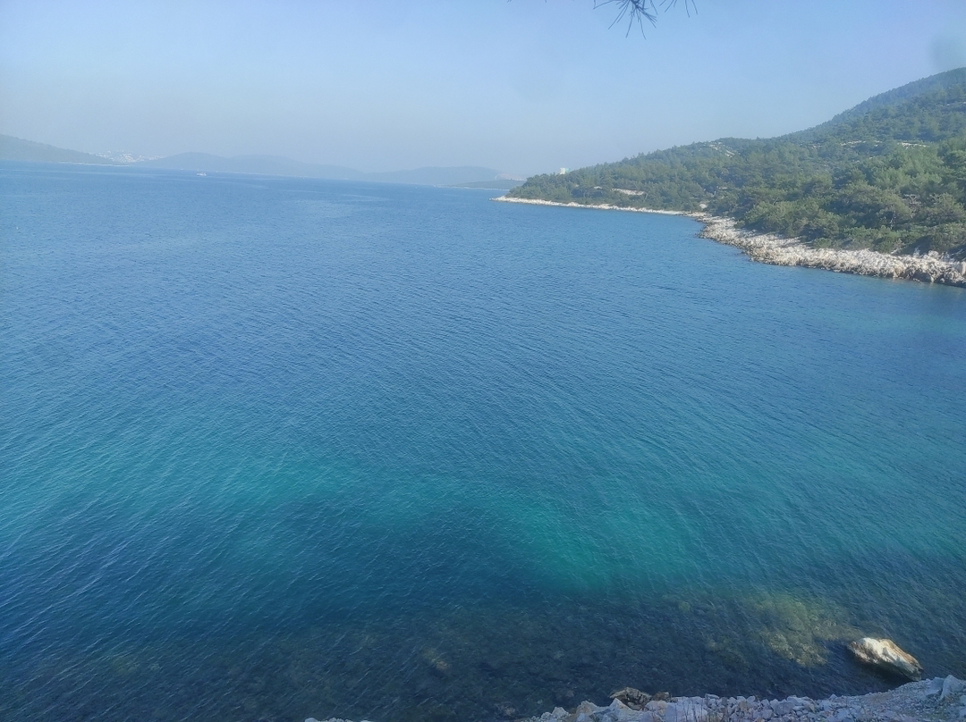 Kübra