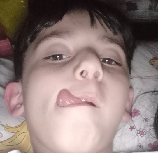 İbo