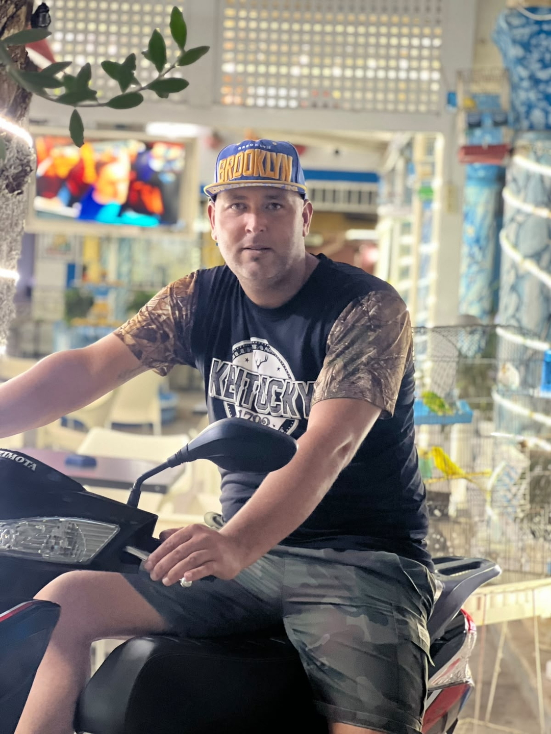 Anis