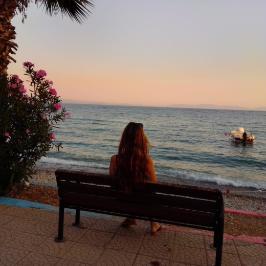 Buse