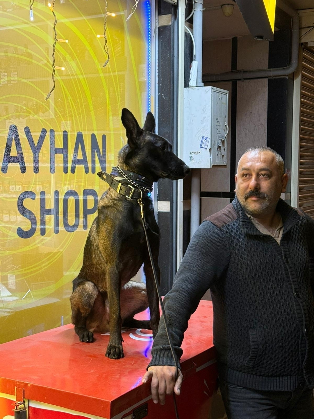 Ayhan