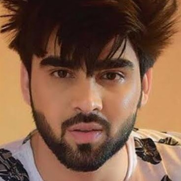 Anil