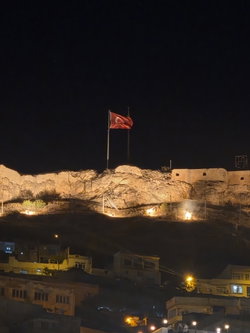 Mustafa