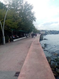Barış