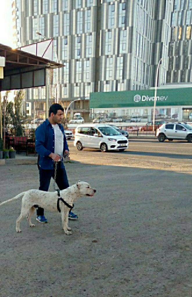 Hakan