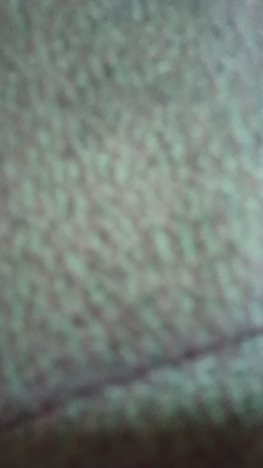 Mecit