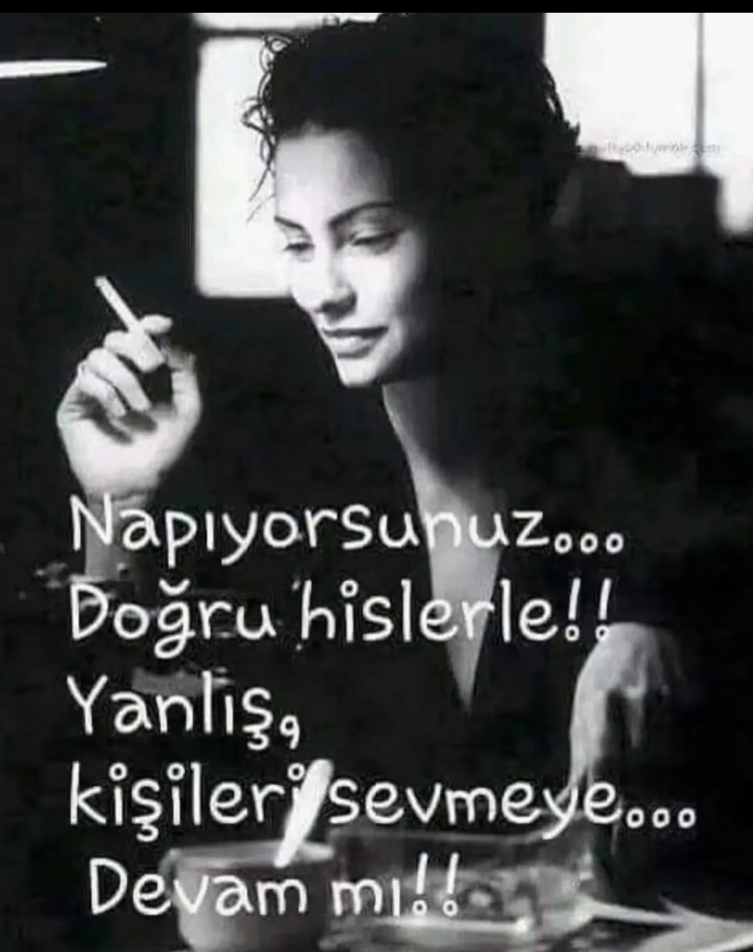 Sibel