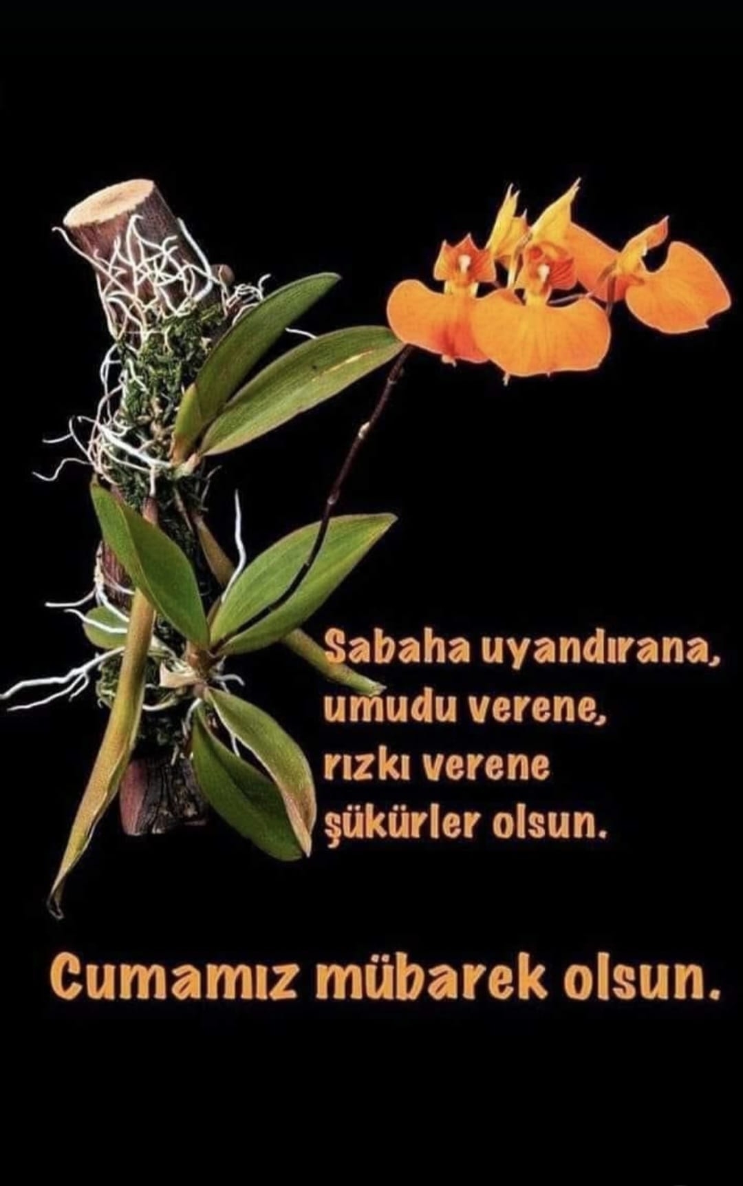 Ramazan