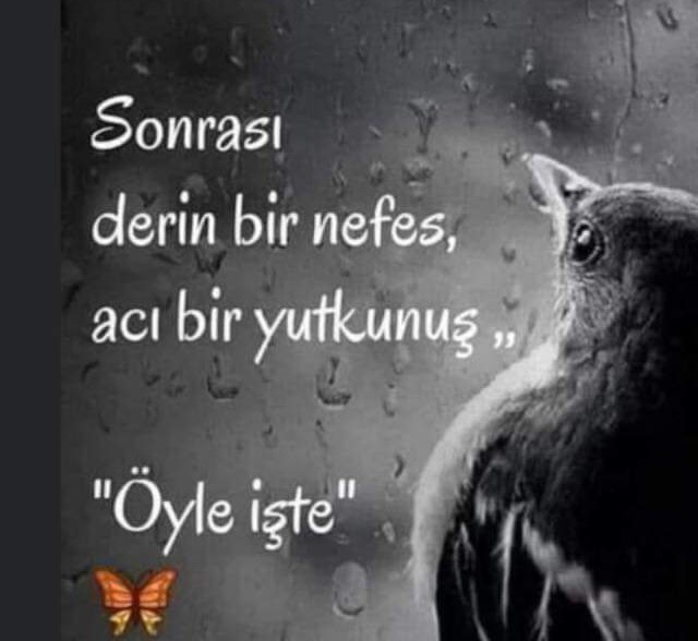 Defdef
