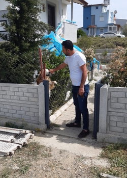 Huseyin