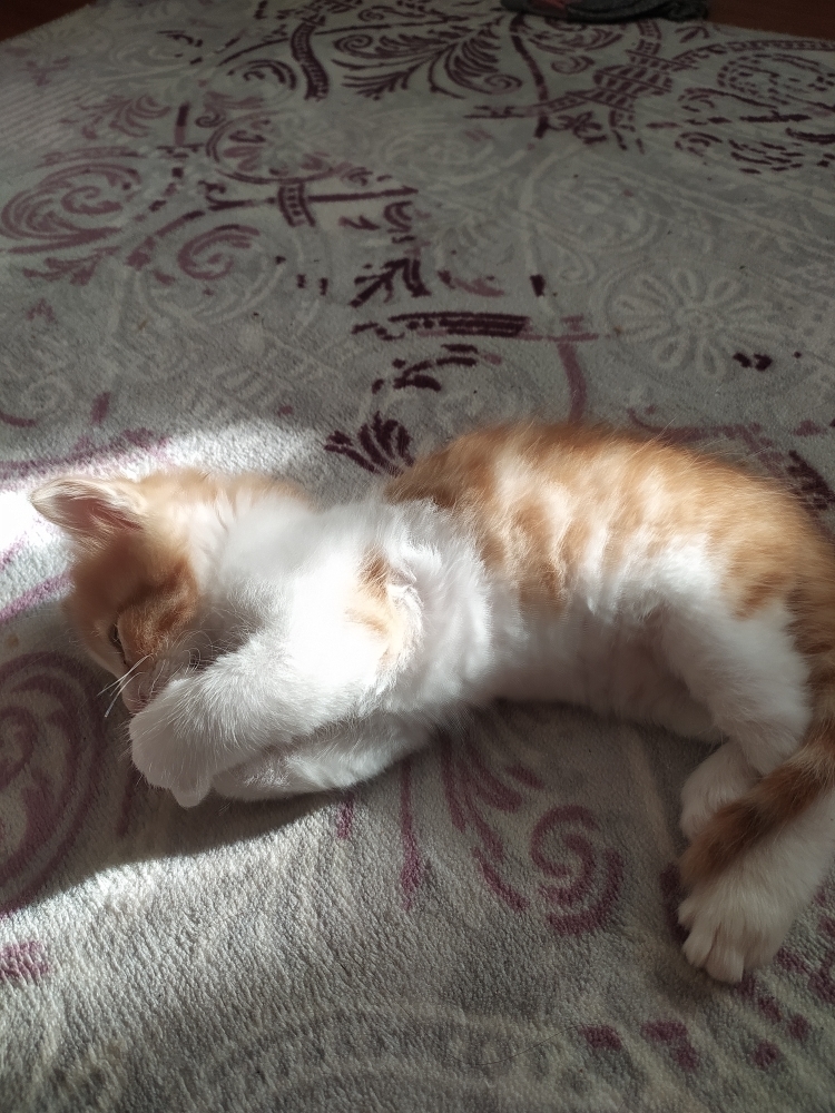 Pınar