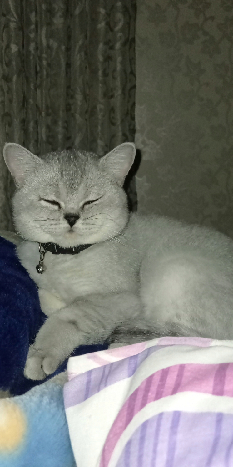 Gülsüm