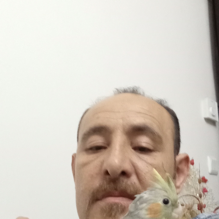 Başar