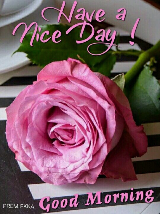 Brijesh