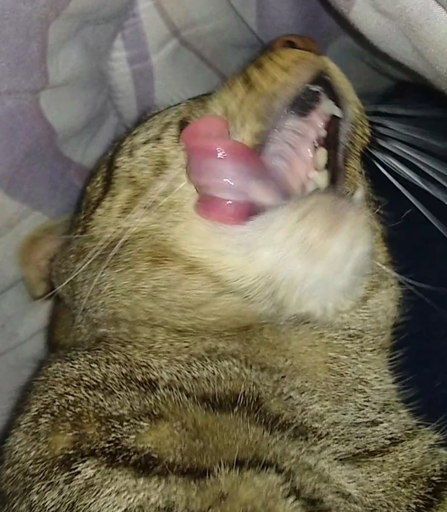 Mad