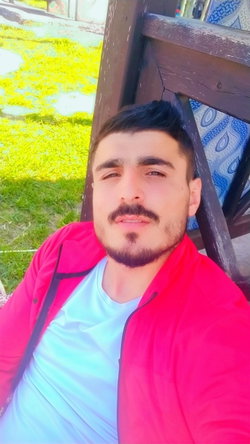 Vedat