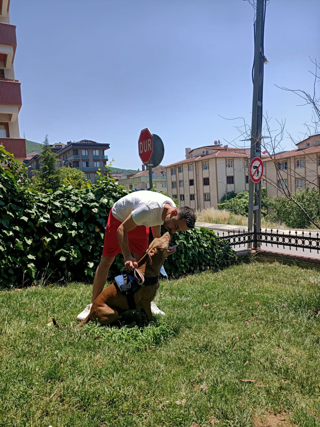 Oğuzhan