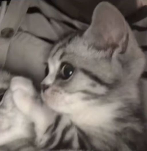 Oi,