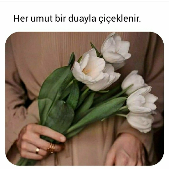 Halime