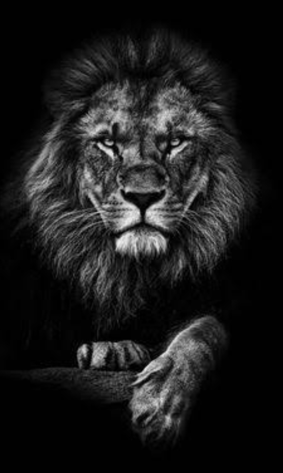 Aslan