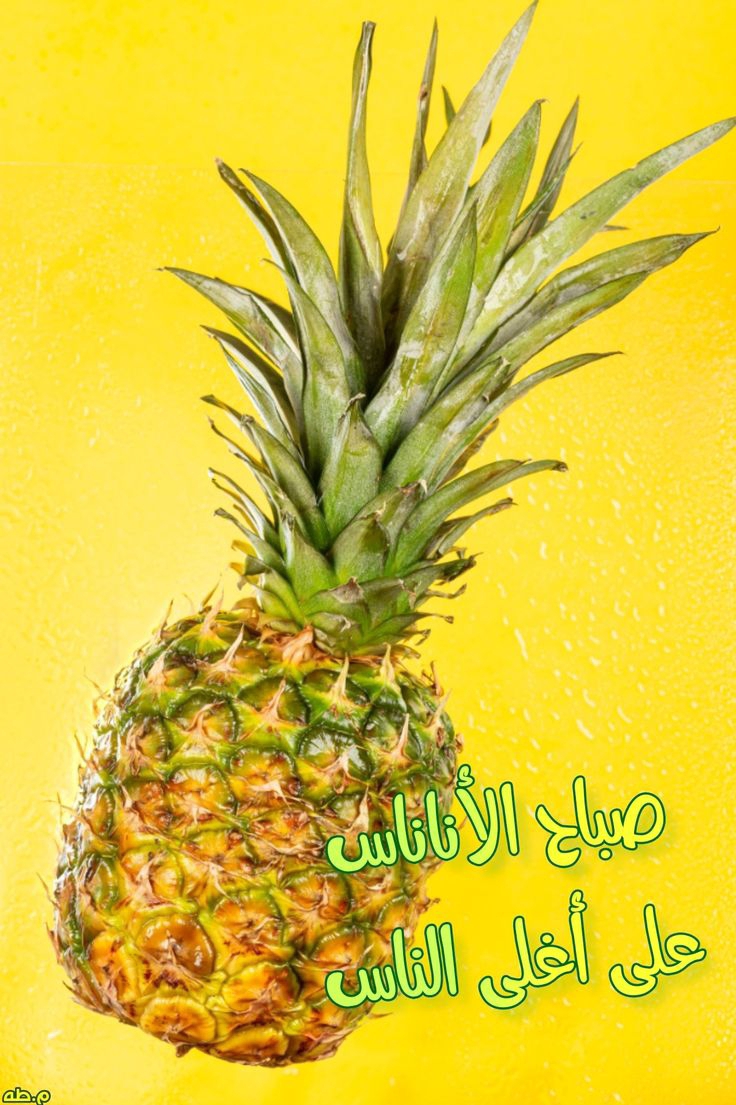 Mostafa