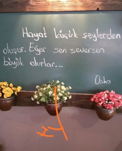 Hasan