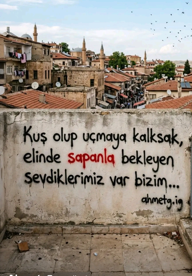 Haci