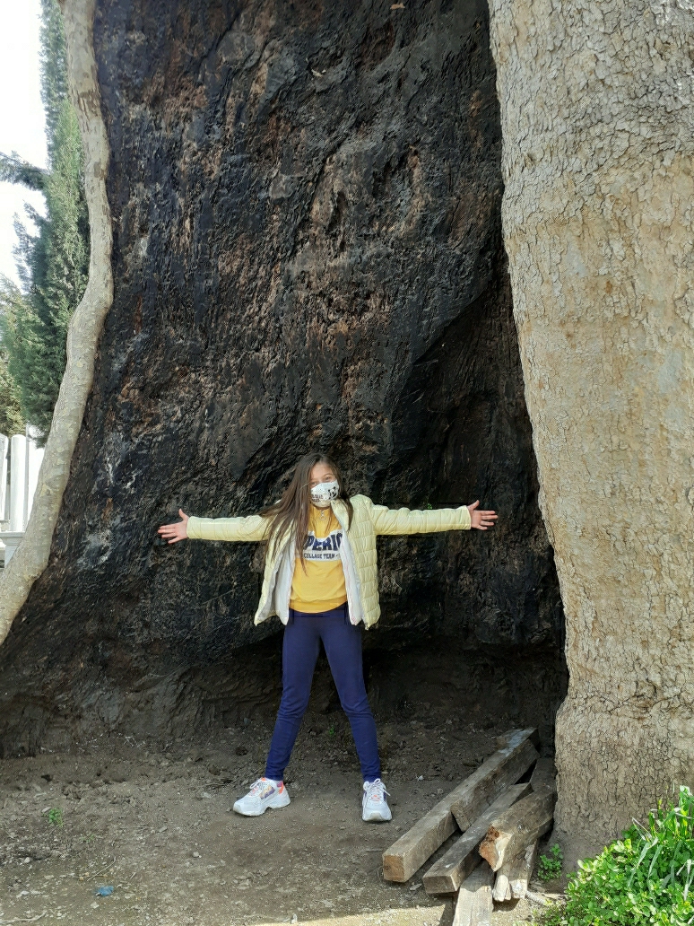 Fatma