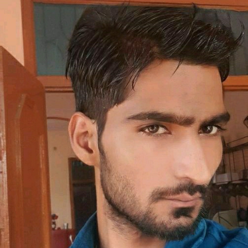 Veer
