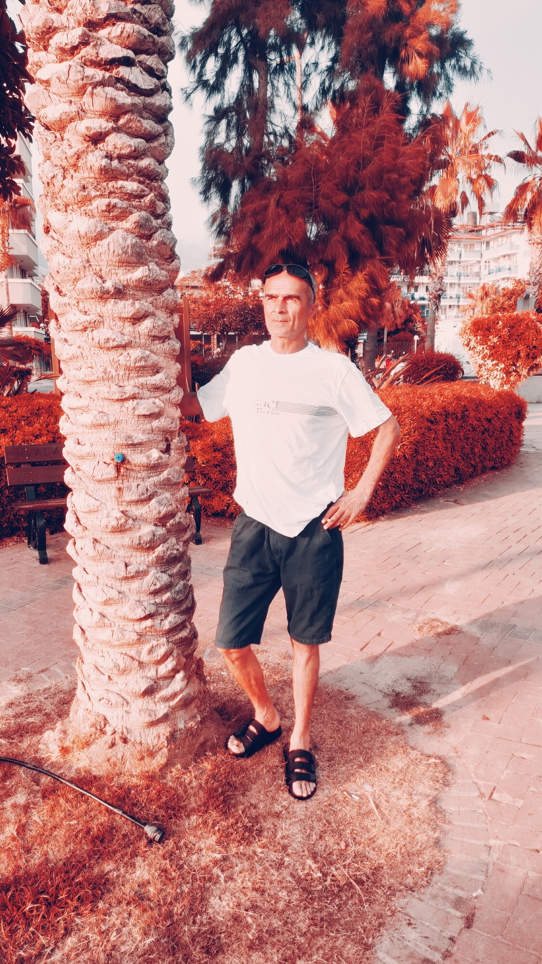 Murat