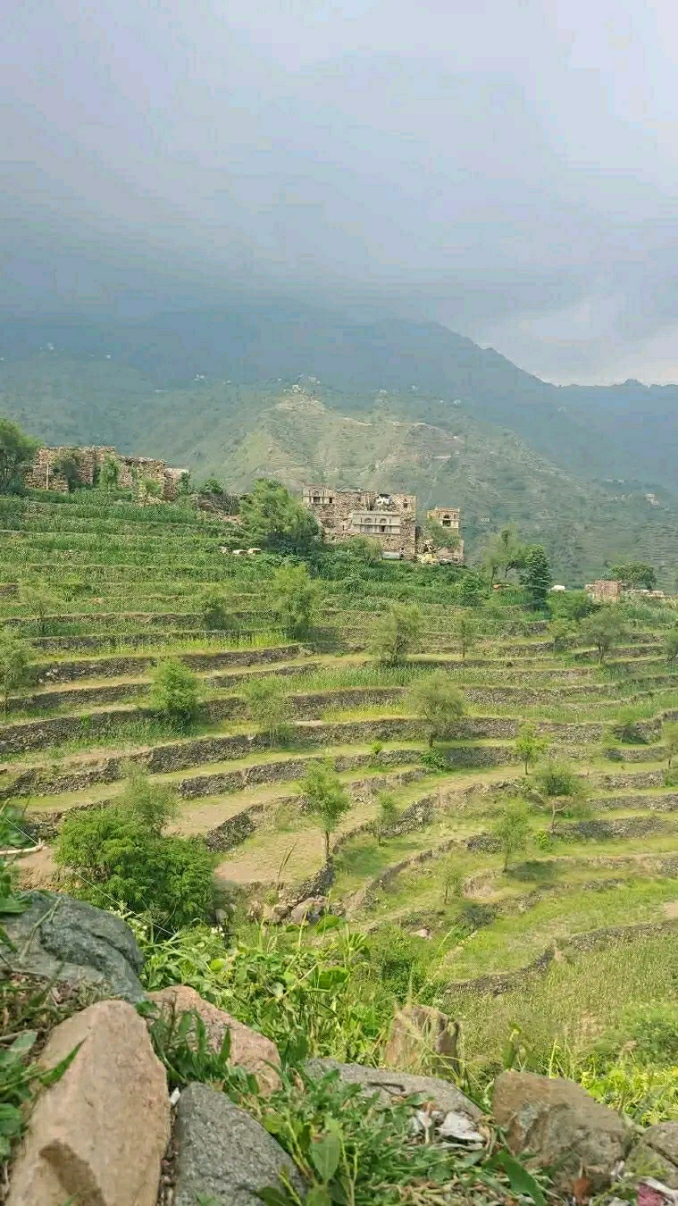 Najma
