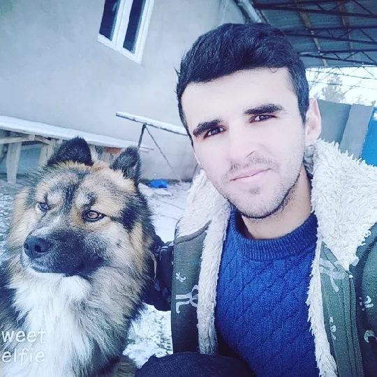 Cefer