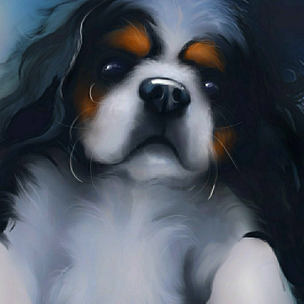 Seher