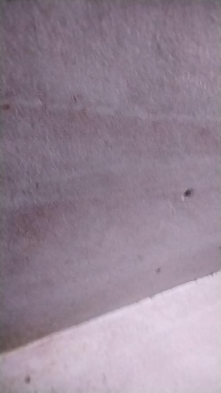 ناصر